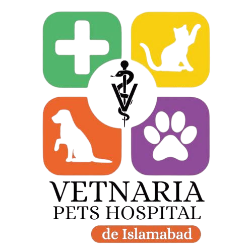 Cover photo of Vetnaria Pets Hospital